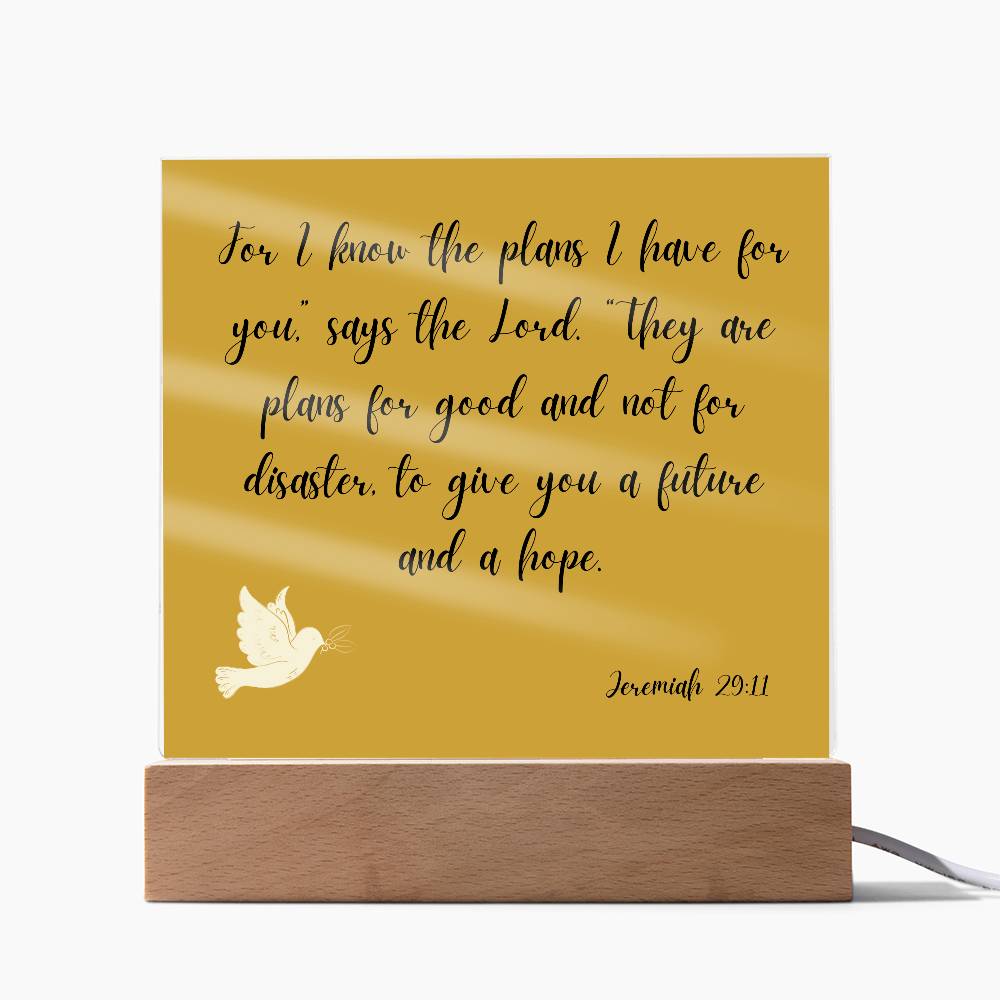 Square Acrylic Plaque - Jeremiah 29:11